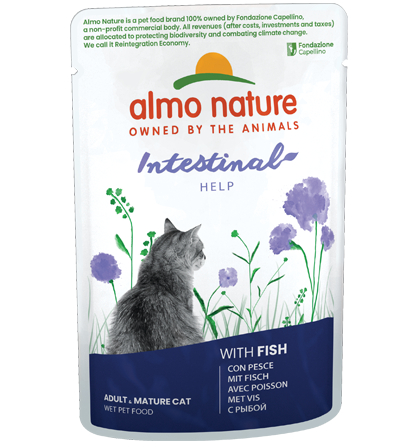 Almo Nature Intestinal Help con Pesce 70 g – Cibo Completo per Gatti Adulti Almo Nature Intestinal Help con Pesce 70 g – Cibo Completo per Gatti Adulti